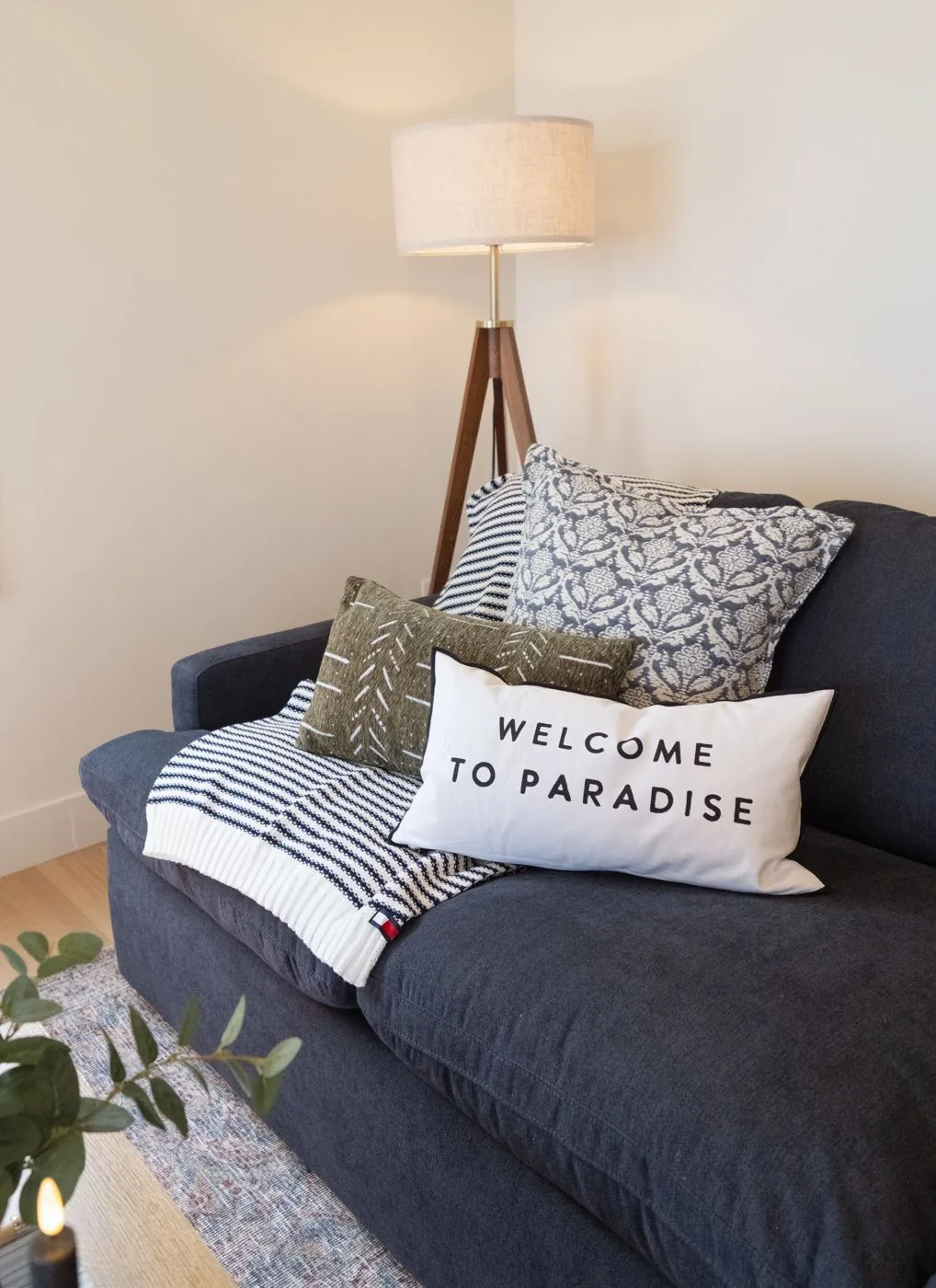 Living room detail with pillow and throw